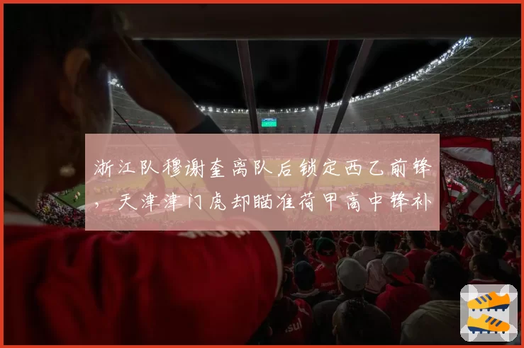 浙江队穆谢奎离队后锁定西乙前锋，天津津门虎却瞄准荷甲高中锋补强路线差异