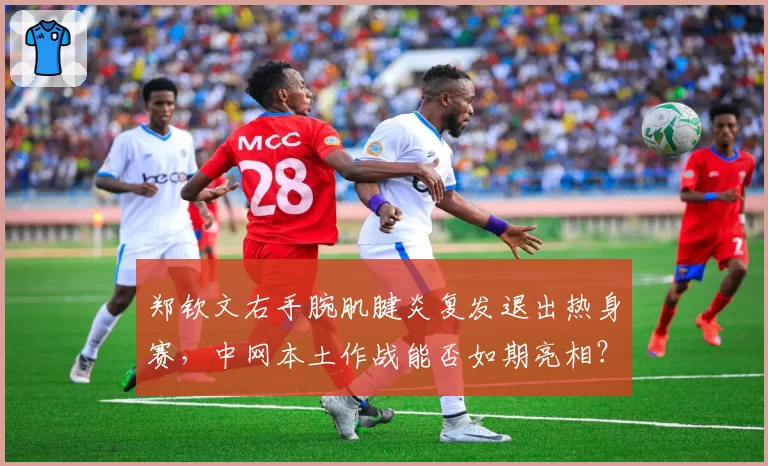 郑钦文右手腕肌腱炎复发退出热身赛，中网本土作战能否如期亮相？