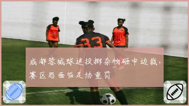 成都蓉城球迷投掷杂物砸中边裁,赛区恐面临足协重罚