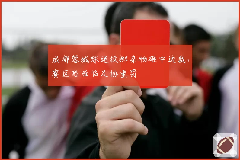 成都蓉城球迷投掷杂物砸中边裁,赛区恐面临足协重罚
