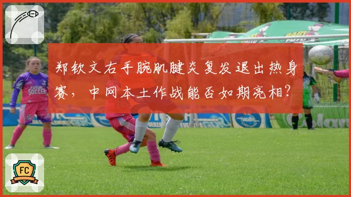 郑钦文右手腕肌腱炎复发退出热身赛，中网本土作战能否如期亮相？